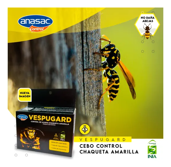 D_NQ_NP_2X_942770-MLC79004869143_092024-F (1)vespu