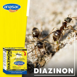 insecticida diazinon 40 wp 500gr