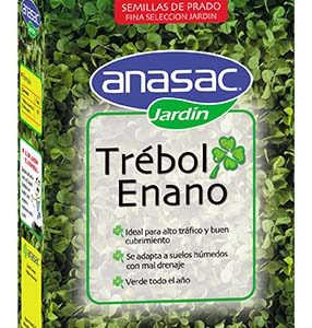 semilla de prado trebol enano 250 gr