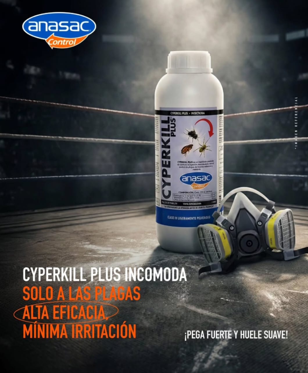 Comercializadora 45 imagen 6