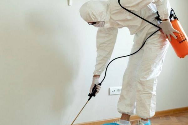 Categoría Control de plagas