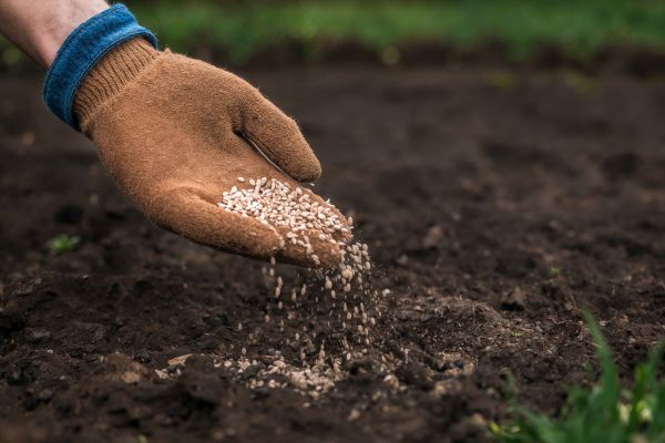 Categoría Fertilizantes y sustratos